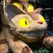 ヒメ日記 2026/02/03 18:36 投稿 いちか 吉原ファーストレディ