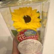 ヒメ日記 2026/06/22 20:56 投稿 いちか 吉原ファーストレディ