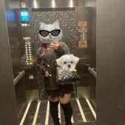 ヒメ日記 2026/03/07 22:29 投稿 経堂 BBW（ビッグビューティフルウーマン）