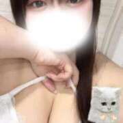 ヒメ日記 2026/04/29 00:49 投稿 経堂 BBW（ビッグビューティフルウーマン）