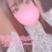 ヒメ日記 2025/07/16 14:42 投稿 ふみえ sakura