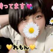 ヒメ日記 2025/07/05 19:23 投稿 れもん 新横浜ちゃんこ