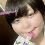 ヒメ日記 2025/12/17 16:23 投稿 れもん 新横浜ちゃんこ