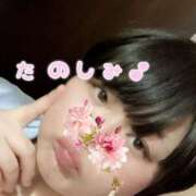 ヒメ日記 2025/12/30 14:53 投稿 れもん 新横浜ちゃんこ