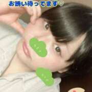 れもん 23:30まで💕 新横浜ちゃんこ