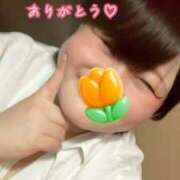 ヒメ日記 2026/06/09 14:13 投稿 れもん 新横浜ちゃんこ