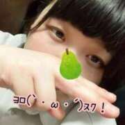 ヒメ日記 2026/06/21 07:03 投稿 れもん 新横浜ちゃんこ