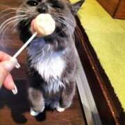 ヒメ日記 2025/06/14 20:02 投稿 アンナ 三重四日市ちゃんこ