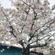 アンナ ポカポカ☺️🔆 三重四日市ちゃんこ