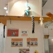 アンナ 頑張るぞぉ〜✊🏻 ̖́ 三重四日市ちゃんこ