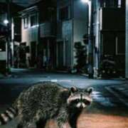 ヒメ日記 2026/06/24 15:31 投稿 アンナ 三重四日市ちゃんこ