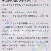 ヒメ日記 2026/05/01 14:12 投稿 めい Evolution 2nd
