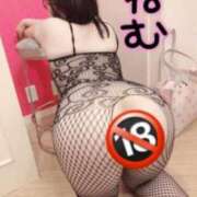 ヒメ日記 2025/06/19 17:49 投稿 ねむ ちゃんこ東大阪 布施・長田店