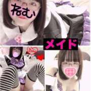 ヒメ日記 2025/08/01 21:54 投稿 ねむ ちゃんこ東大阪 布施・長田店