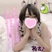 ヒメ日記 2025/08/05 22:49 投稿 ねむ ちゃんこ東大阪 布施・長田店