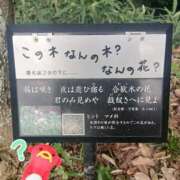 ヒメ日記 2025/10/08 17:39 投稿 ねむ ちゃんこ東大阪 布施・長田店