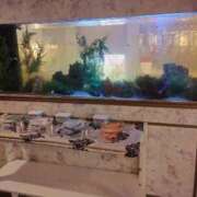 ヒメ日記 2026/03/15 18:16 投稿 佐伯しずく LIP×LIP滋賀