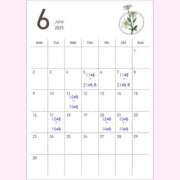 ヒメ日記 2025/06/07 11:50 投稿 とうか 奥様特急　池袋・大塚店