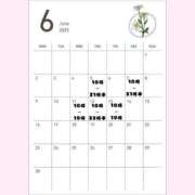 ヒメ日記 2025/06/05 05:45 投稿 とうか 奥様特急　上野・鶯谷店