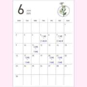 ヒメ日記 2025/06/07 11:55 投稿 とうか 奥様特急　上野・鶯谷店