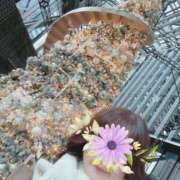 ヒメ日記 2025/12/19 08:20 投稿 小鳥遊めい セカンドパートナー