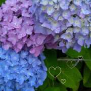 ヒメ日記 2025/06/09 20:00 投稿 つぐみ 人妻こゆびの約束久喜店