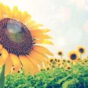 ヒメ日記 2025/07/04 09:46 投稿 つぐみ 人妻こゆびの約束久喜店