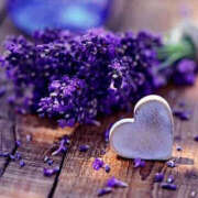 ヒメ日記 2025/07/23 22:31 投稿 つぐみ 人妻こゆびの約束久喜店