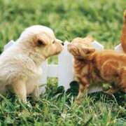 ヒメ日記 2025/08/17 10:20 投稿 つぐみ 人妻こゆびの約束久喜店