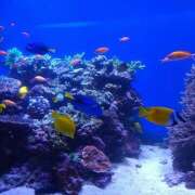 ヒメ日記 2025/10/13 11:29 投稿 つぐみ 人妻こゆびの約束久喜店