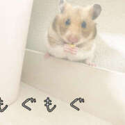 ヒメ日記 2025/10/23 13:00 投稿 つぐみ 人妻こゆびの約束久喜店