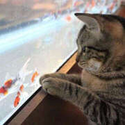 ヒメ日記 2025/11/17 18:00 投稿 つぐみ 人妻こゆびの約束久喜店