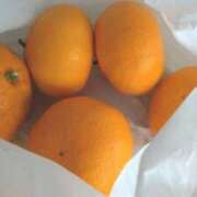 ヒメ日記 2025/12/06 20:00 投稿 つぐみ 人妻こゆびの約束久喜店