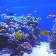 ヒメ日記 2026/01/24 13:28 投稿 つぐみ 人妻こゆびの約束久喜店