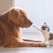 ヒメ日記 2026/02/23 20:00 投稿 つぐみ 人妻こゆびの約束久喜店