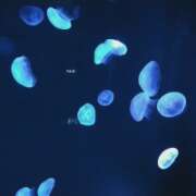 ヒメ日記 2026/03/01 23:00 投稿 つぐみ 人妻こゆびの約束久喜店