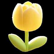 ヒメ日記 2025/06/16 00:30 投稿 ちむ HEAVEN Hand