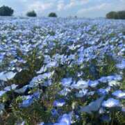 ヒメ日記 2025/06/09 21:37 投稿 時雨みかな セレブ Rex