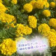 ヒメ日記 2025/06/30 21:08 投稿 時雨みかな セレブ Rex