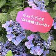 ヒメ日記 2025/07/04 08:06 投稿 時雨みかな セレブ Rex