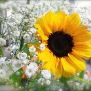 ヒメ日記 2025/07/12 13:04 投稿 時雨みかな セレブ Rex