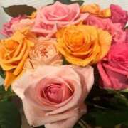 ヒメ日記 2025/07/13 08:02 投稿 時雨みかな セレブ Rex