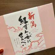 ヒメ日記 2025/09/20 10:07 投稿 時雨みかな セレブ Rex