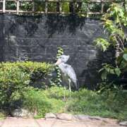 ヒメ日記 2025/09/22 17:04 投稿 時雨みかな セレブ Rex