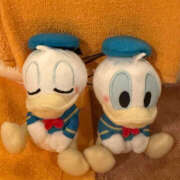 ヒメ日記 2025/11/06 12:15 投稿 ぽぽ ハピネス札幌