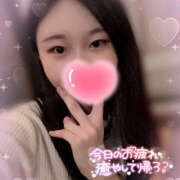 ヒメ日記 2025/11/13 12:06 投稿 ぽぽ ハピネス札幌