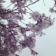 ヒメ日記 2026/04/06 13:46 投稿 める 熟女の風俗最終章 立川店