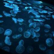 ヒメ日記 2025/06/06 20:00 投稿 さき 横浜ミセスアロマ（ユメオト）