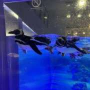 ヒメ日記 2025/08/24 13:00 投稿 さき 横浜ミセスアロマ（ユメオト）