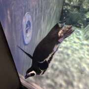 ヒメ日記 2025/09/11 14:46 投稿 さき 横浜ミセスアロマ（ユメオト）